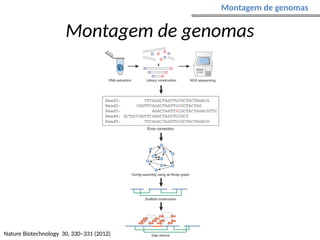 Nature Biotechnology 30, 330–331 (2012)
Montagem de genomas
Montagem de genomas
 