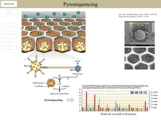 Roche 454
                                 Pyrosequencing
  Sanger
  method                                                         Annu. Rev. Genomics Hum. Genet., 2008, 9: 387-402
                                                                 Nature Reviews genetics, 2010, 11: 31-46
      -

                                                                                        44 µm
 ABi SOLiD


Illumina GAII


 HeliScope


 Nanopore




                Pyrosequecning




                                                  Reads are recorded as flowgrams
 