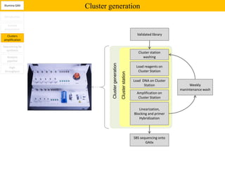 Illumina GAII
                Cluster generation
Introduction

   Sample
 preparation

  Clusters                                                        Validated library
amplification

Sequencing by
  synthesis
                                                                   Cluster station
  Analysis                                                            washing
  pipeline




                         Cluster generation
    High                                                         Load reagents on
 throughput                                                       Cluster Station




                                              Cluster station
                                                                Load DNA on Cluster
                                                                      Station              Weekly
                                                                                      manintenance wash
                                                                  Amplification on
                                                                   Cluster Station


                                                                   Linearization,
                                                                Blocking and primer
                                                                   Hybridization




                                                                SBS sequencing onto
                                                                       GAIIx
 