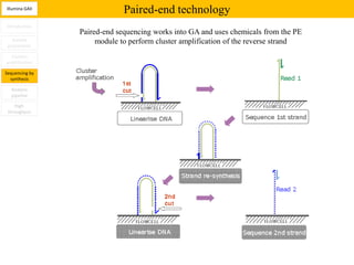 Illumina GAII
                             Paired-end technology
Introduction
                Paired-end sequencing works into GA and uses chemicals from the PE
   Sample            module to perform cluster amplification of the reverse strand
 preparation

  Clusters
amplification

Sequencing by
  synthesis

  Analysis
  pipeline

    High
 throughput
 
