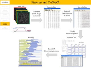Illumina GAII
                                  Firecrest and CASAVA
Introduction    Image files                          Intensity files                           Base calls files

   Sample
 preparation                        Firecrest                             Bustard
                                   From image                          From intensity
  Clusters
amplification                      to intensity                           to reads
Sequencing by
  synthesis

  Analysis
  pipeline

    High
 throughput

                                                                                 Gerald
                                                                             Reads alignment

                              Assembly                                       Alignment files




                                                      CASAVA
                                                  Consensus assembly
 
