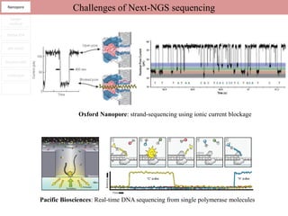 Nanopore
                            Challenges of Next-NGS sequencing
  Sanger
  method

 Roche 454


 ABi SOLiD


Illumina GAII


 HeliScope


      -




                              Oxford Nanopore: strand-sequencing using ionic current blockage




                Pacific Biosciences: Real-time DNA sequencing from single polymerase molecules
 