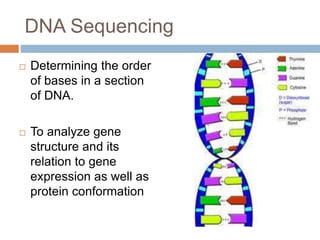 DNA Sequencing | PPTX