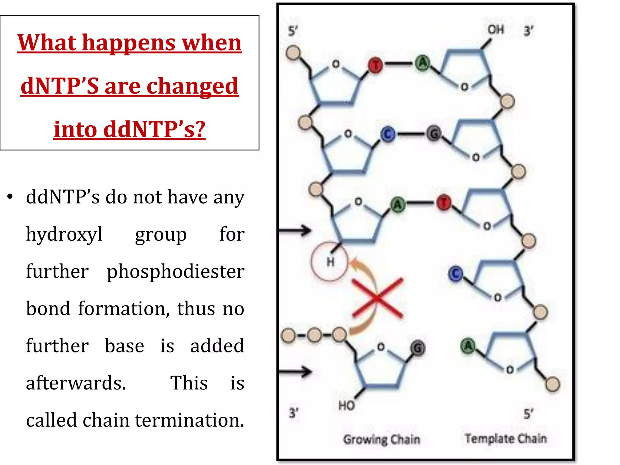 Sequencing | PDF | Chemistry | Science