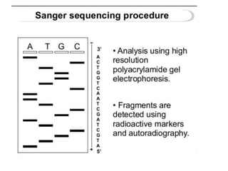 sequencing.pptx