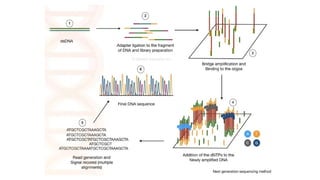 DNA sequencing method in molecular biology.pptx