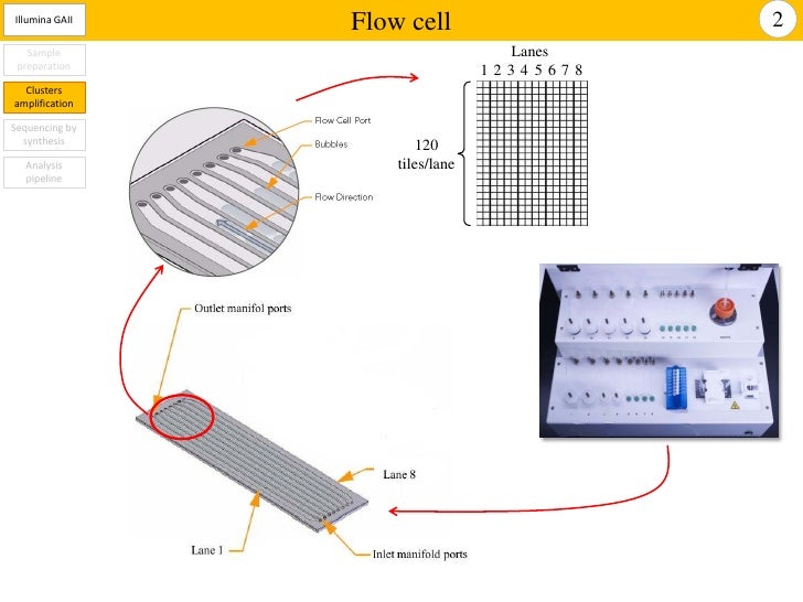 sequencing by synthesis