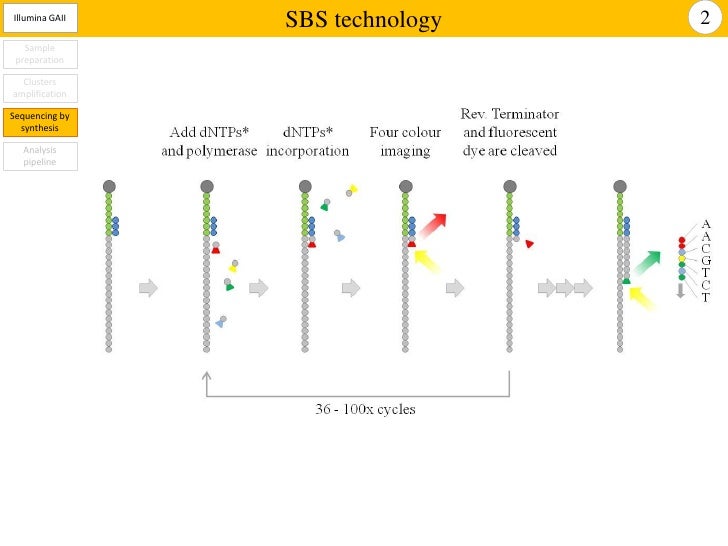 sequencing by synthesis