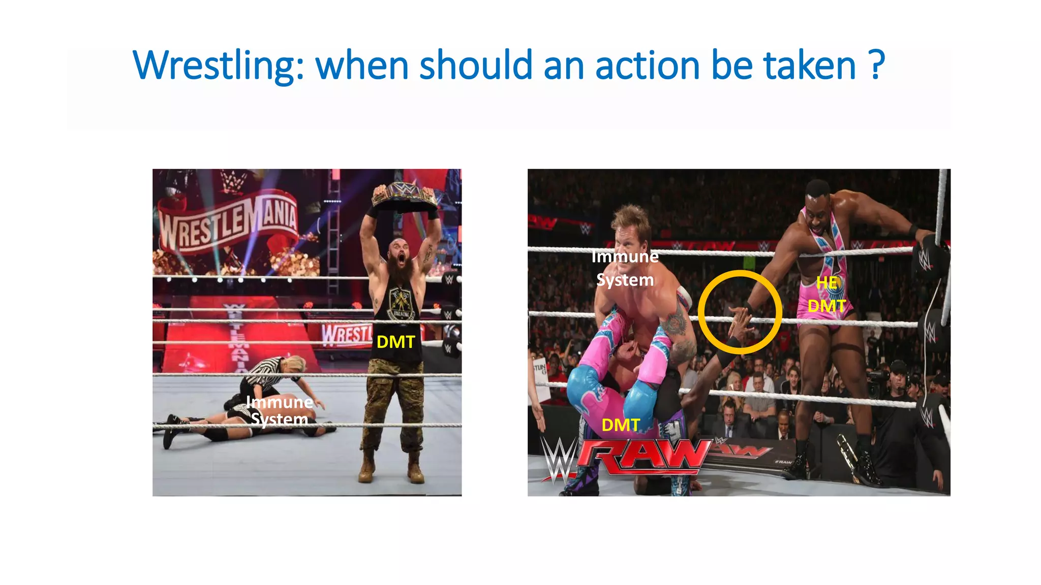 DMT
Immune
System
Immune
System
HE
DMT
DMT
Wrestling: when should an action be taken ?
 