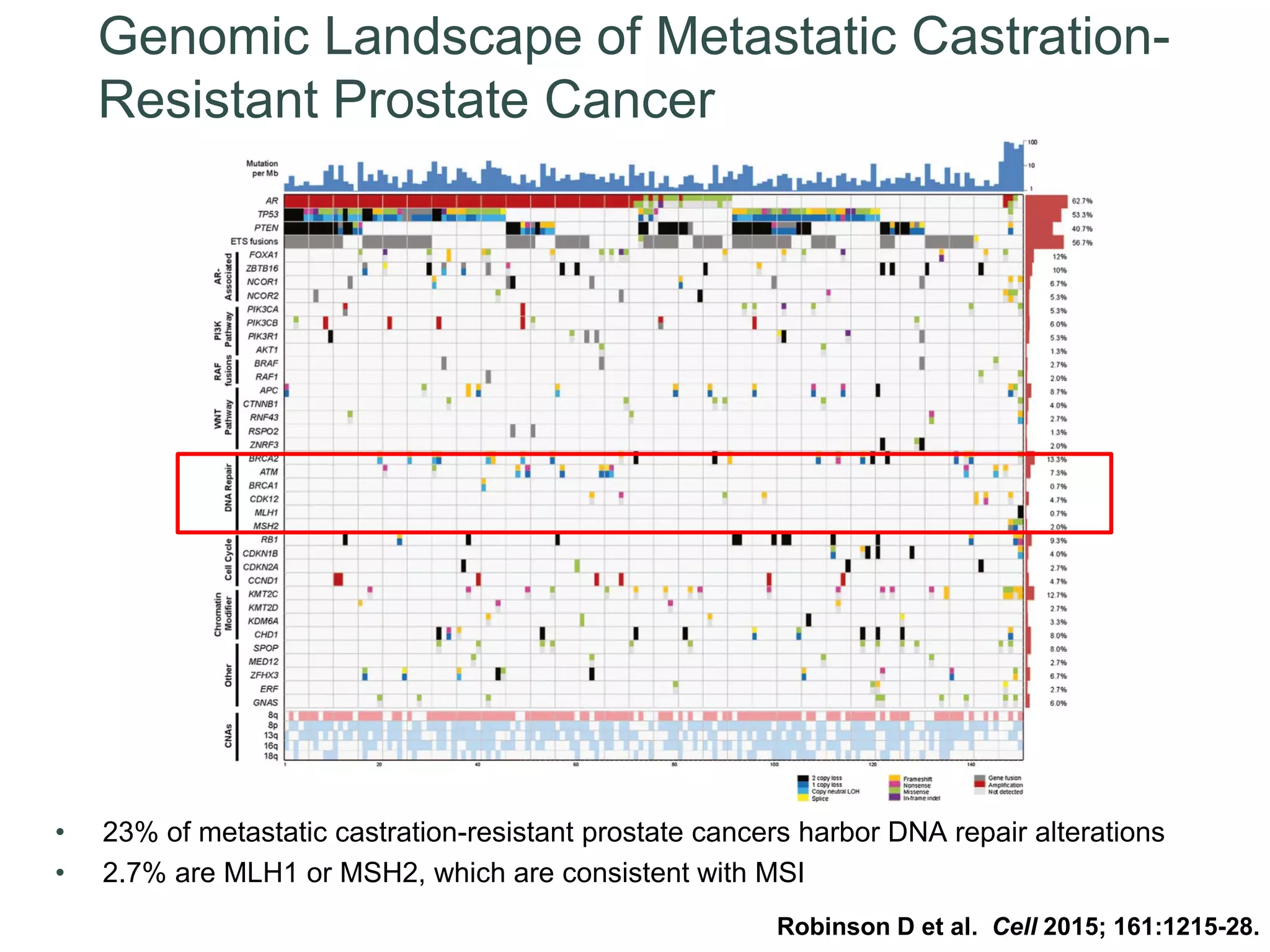 Sequencing Agents in Metastatic Prostate Cancer | PDF