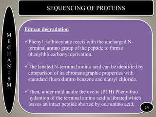 SEQUENCING OF PROTEINS
Edman degradation
Phenyl isothiocynate reacts with the uncharged N-
terminal amino group of the peptide to form a
phenylthiocarbonyl derivation.
The labeled N-terminal amino acid can be identified by
comparison of its chromatographic properties with
stanrdard fluorodinitro benzene and dansyl chloride.
Then, under mild acidic the cyclic (PTH) Phenylthio
hydantion of the terminal amino acid is librated which
leaves an intact peptide shorted by one amino acid.
M
E
C
H
A
N
I
S
M
14
 