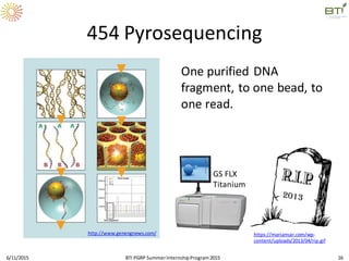 454 Pyrosequencing
One purified DNA
fragment, to one bead, to
one read.
6/11/2015 BTI PGRP SummerInternshipProgram2015 16
http://www.genengnews.com/
GS FLX
Titanium
https://mariamuir.com/wp-
content/uploads/2013/04/rip.gif
 