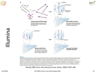Illumina
6/11/2015 BTI PGRP SummerInternshipProgram2015 19
Mardis 2008. Annu. Rev. Genomics Hum. Genet. 2008. 9:387–402
 