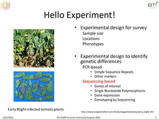 Hello Experiment!
• Experimental design for survey
Sample size
Locations
Phenotypes
• Experimental design to identify
genetic differences
PCR-based
• Simple Sequence Repeats
• Other markers
Sequencing-based
• Genes of interest
• Single Nucleotide Polymorphisms
• Gene expression
• Genotyping by Sequencing
6/11/2015 BTI PGRP SummerInternshipProgram2015 3
Early Blight infected tomato plants
http://www.longislandhort.cornell.edu/vegpath/photos/early_blight.htm
 