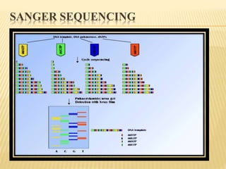 Next Generation Sequencing of DNA | PPTX