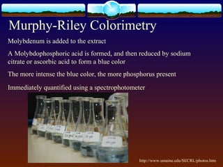 Murphy-Riley Colorimetry
Molybdenum is added to the extract
A Molybdophosphoric acid is formed, and then reduced by sodium
citrate or ascorbic acid to form a blue color
The more intense the blue color, the more phosphorus present
Immediately quantified using a spectrophotometer
http://www.umaine.edu/SECRL/photos.htm
 