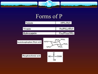 Forms of P
 