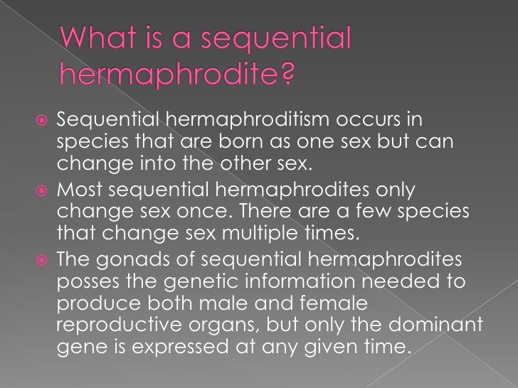 Sequential Hermaphrodites
