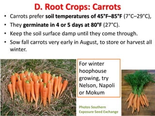 D. Root Crops: Carrots
• Carrots prefer soil temperatures of 45°F–85°F (7°C–29°C),
• They germinate in 4 or 5 days at 80°F...