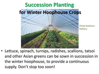 Succession Planting for Continuous
Harvests
 Typically, plants mature slower
in colder weather
 To get harvests starting...