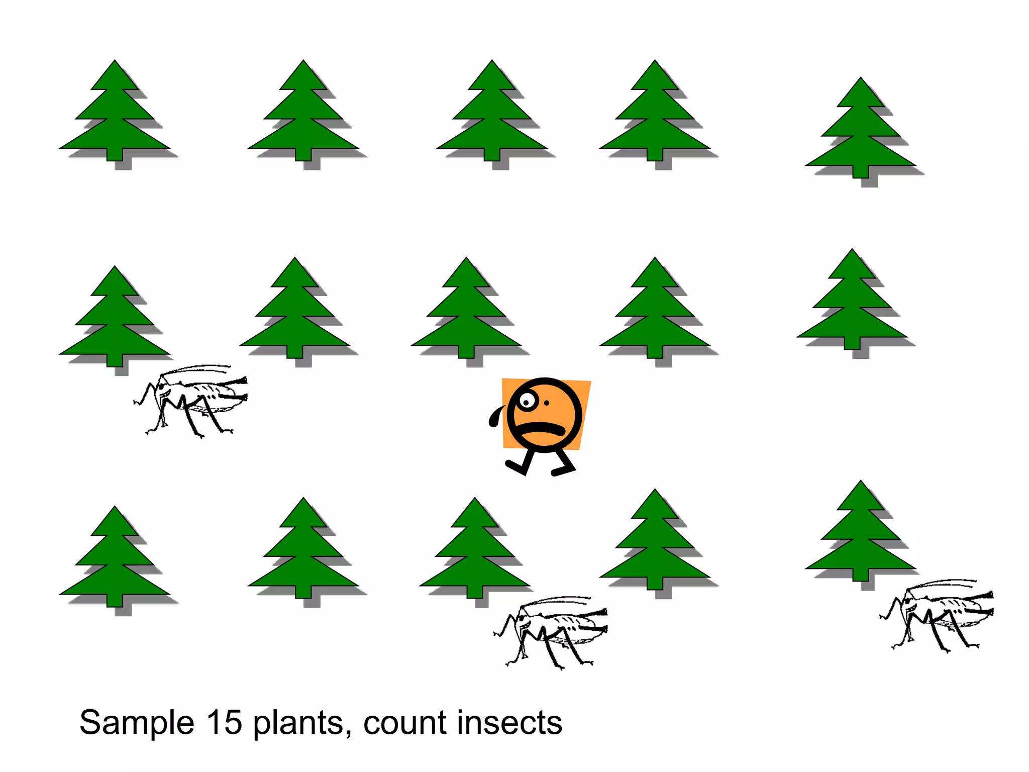 Sample 15 plants, count insects
 