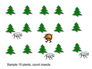 Sequential sampling banana aphid.ppt