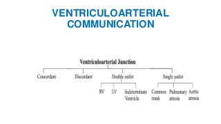 Sequential segmental analysis | PPTX
