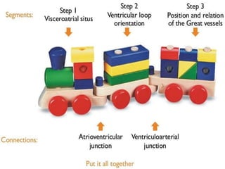 Sequential segmental analysis of heart | PPTX