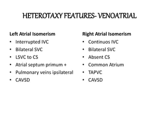 Sequential segmental analysis of heart | PPTX
