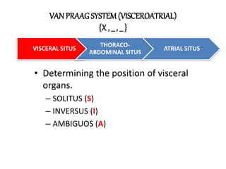 Sequential segmental analysis of heart | PPTX