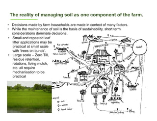Sequestering soil carbon in the low input farming systems of the semi-arid tropics – does litter quality matter? 
