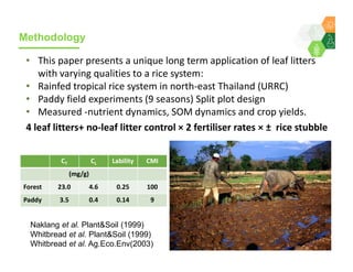 Sequestering soil carbon in the low input farming systems of the semi-arid tropics – does litter quality matter? 