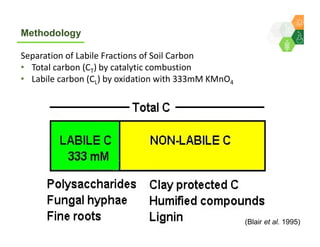 Sequestering soil carbon in the low input farming systems of the semi-arid tropics – does litter quality matter? 