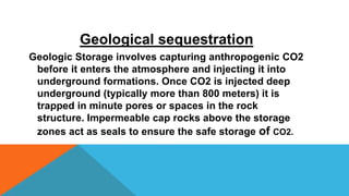 carbon Sequestration and its method in plants | PPTX