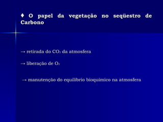 ♦   O papel da vegetação no seqüestro de Carbono ->  retirada do CO 2  da atmosfera ->  liberação de O 2 ->   manuten ção  do  equilíbrio bioquímico na atmosfera   
