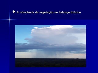 ♦  A relevância da vegetação no balanço hídrico   