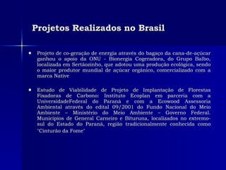 Projetos Realizados no Brasil               Projeto de co-geração de energia através do bagaço da cana-de-açúcar ganhou o apoio da ONU - Bionergia Cogeradora, do Grupo Balbo, localizada em Sertãozinho, que adotou uma produção ecológica, sendo o maior produtor mundial de açúcar orgânico, comercializado com a marca Native  Estudo de Viabilidade de Projeto de Implantação de Florestas Fixadoras de Carbono: Instituto Ecoplan em parceria com a UniversidadeFederal do Paraná e com a Ecowood Assessoria Ambiental através do edital 09/2001 do Fundo Nacional do Meio Ambiente – Ministério do Meio Ambiente – Governo Federal. Municípios de General Carneiro e Bituruna, localizados no extremo-sul do Estado do Paraná, região tradicionalmente conhecida como "Cinturão da Fome"   