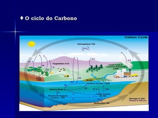 ♦   O ciclo do Carbono 