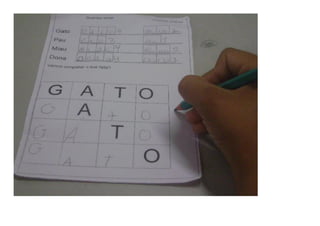 Sequência didática