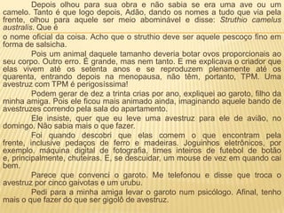 Depois olhou para sua obra e não sabia se era uma ave ou um
camelo. Tanto é que logo depois, Adão, dando os nomes a tudo que via pela
frente, olhou para aquele ser meio abominável e disse: Struthio camelus
australis. Que é
o nome oficial da coisa. Acho que o struthio deve ser aquele pescoço fino em
forma de salsicha.
Pois um animal daquele tamanho deveria botar ovos proporcionais ao
seu corpo. Outro erro. É grande, mas nem tanto. E me explicava o criador que
elas vivem até os setenta anos e se reproduzem plenamente até os
quarenta, entrando depois na menopausa, não têm, portanto, TPM. Uma
avestruz com TPM é perigosíssima!
Podem gerar de dez a trinta crias por ano, expliquei ao garoto, filho da
minha amiga. Pois ele ficou mais animado ainda, imaginando aquele bando de
avestruzes correndo pela sala do apartamento.
Ele insiste, quer que eu leve uma avestruz para ele de avião, no
domingo. Não sabia mais o que fazer.
Foi quando descobri que elas comem o que encontram pela
frente, inclusive pedaços de ferro e madeiras. Joguinhos eletrônicos, por
exemplo. máquina digital de fotografia, times inteiros de futebol de botão
e, principalmente, chuteiras. E, se descuidar, um mouse de vez em quando cai
bem.
Parece que convenci o garoto. Me telefonou e disse que troca o
avestruz por cinco gaivotas e um urubu.
Pedi para a minha amiga levar o garoto num psicólogo. Afinal, tenho
mais o que fazer do que ser gigolô de avestruz.
 