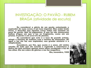 INVESTIGAÇÃO: O PAVÃO - RUBEM
BRAGA (atividade de escuta)
Eu considerei a glória de um pavão ostentando o
esplendor de suas cores; é um luxo imperial. Mas andei lendo
livros, e descobri que aquelas cores todas não existem na
pena do pavão. Não há pigmentos. O que há são minúsculas
bolhas d'água em que a luz se fragmenta, como em um
prisma. O pavão é um arco-íris de plumas.
Eu considerei que este é o luxo do grande artista,
atingir o máximo de matizes com o mínimo de elementos. De
água e luz ele faz seu esplendor; seu grande mistério é a
simplicidade.
Considerei, por fim, que assim é o amor, oh! minha
amada; de tudo que ele suscita e esplende e estremece e
delira em mim existem apenas meus olhos recebendo a luz de
teu olhar. Ele me cobre de glórias e me faz magnífico.
Rio, novembro, 1958
 