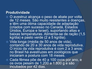 Produtividade
 O avestruz alcança o peso de abate por volta
de 12 meses. São muito resistentes a doenças,
e têm uma ótima capacidade de adaptação
(criados com sucesso no Canadá, Estados
Unidos, Europa e Israel), suportando altas e
baixas temperaturas. Alimenta-se de ração (1,5
kg/dia) e pasto verde (2 a 5 kg/dia).
 Vida longa (média de 50 anos de vida),
contando de 20 a 30 anos de vida reprodutiva.
O início da vida reprodutiva é com 2 a 3 anos;
no Brasil há avestruzes em zoológicos que
iniciaram a postura com 18 meses.
 Cada fêmea põe de 40 a 100 ovos por ano, e
os ovos pesam de 1.200 a 1.800 g e são
incubados por 42 dias.
 
