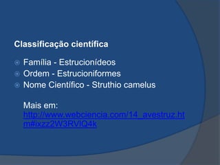 Classificação científica
 Família - Estrucionídeos
 Ordem - Estrucioniformes
 Nome Científico - Struthio camelus
Mais em:
http://www.webciencia.com/14_avestruz.ht
m#ixzz2W3RVlQ4k
 