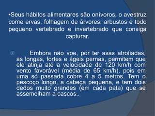 •Seus hábitos alimentares são onívoros, o avestruz
come ervas, folhagem de árvores, arbustos e todo
pequeno vertebrado e invertebrado que consiga
capturar.
 Embora não voe, por ter asas atrofiadas,
as longas, fortes e ágeis pernas, permitem que
ele atinja até a velocidade de 120 km/h com
vento favorável (média de 65 km/h), pois em
uma só passada cobre 4 a 5 metros. Tem o
pescoço longo, a cabeça pequena, e tem dois
dedos muito grandes (em cada pata) que se
assemelham a cascos..
 