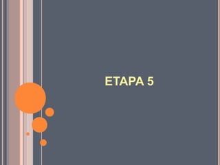 ETAPA 5
 