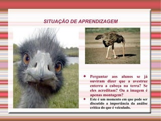SITUAÇÃO DE APRENDIZAGEM
 Perguntar aos alunos se já
ouviram dizer que a avestruz
enterra a cabeça na terra? Se
eles acreditam? Ou a imagem é
apenas montagem?
 Este é um momento em que pode ser
discutido a importância da análise
critica do que é veiculado.
 