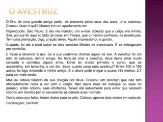 O filho de uma grande amiga pediu, de presente pelos seus dez anos, uma avestruz.
Cismou, fazer o quê? Moram em um apartamento em
Higienópolis, São Paulo. E ela me mandou um e-mail dizendo que a culpa era minha.
Sim, porque foi aqui ao lado de casa, em Floripa, que o menino conheceu as avestruzes.
Tem uma plantação, digo, criação deles. Aquilo impressionou o garoto.
Culpado, fui até o local saber se eles vendiam filhotes de avestruzes. E se entregavam
em domicílio.
E fiquei a observar a ave. Se é que podemos chamar aquilo de ave. A avestruz foi um
erro da natureza, minha amiga. Na hora de criar a avestruz, deus devia estar muito
cansado e cometeu alguns erros. Deve ter criado primeiro o corpo, que se
assemelha, em tamanho, a um boi. Sabe quanto pesa uma avestruz? Entre 100 e 160
quilos, fui logo avisando a minha amiga. E a altura pode chegar a quase três metros. 2,7
para ser mais exato.
Mas eu estava falando da sua criação por deus. Colocou um pescoço que não tem
absolutamente nada a ver com o corpo. Não devia mais ter estoque de asas no
paraíso, então colocou asas atrofiadas. Talvez até sabiamente para evitar que saíssem
voando em bandos por aí assustando as demais aves normais.
Outra coisa que faltou foram dedos para os pés. Colocou apenas dois dedos em cada pé.
Sacanagem, Senhor!
 