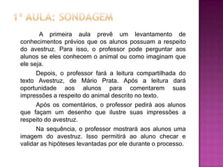 A primeira aula prevê um levantamento de
conhecimentos prévios que os alunos possuam a respeito
do avestruz. Para isso, o professor pode perguntar aos
alunos se eles conhecem o animal ou como imaginam que
ele seja.
Depois, o professor fará a leitura compartilhada do
texto Avestruz, de Mário Prata. Após a leitura dará
oportunidade aos alunos para comentarem suas
impressões a respeito do animal descrito no texto.
Após os comentários, o professor pedirá aos alunos
que façam um desenho que ilustre suas impressões a
respeito do avestruz.
Na sequência, o professor mostrará aos alunos uma
imagem do avestruz. Isso permitirá ao aluno checar e
validar as hipóteses levantadas por ele durante o processo.
 