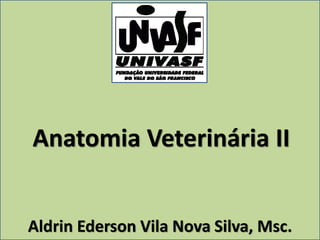 Anatomia Veterinária II


Aldrin Ederson Vila Nova Silva, Msc.
 
