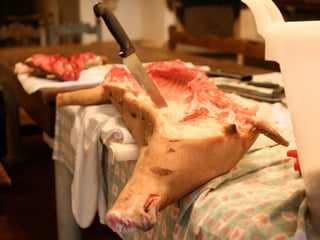 Sequoia Capital on startups and the economic downturn